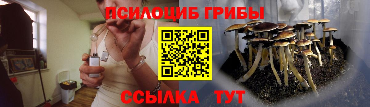 Кулебаки  Псилоцибиновые грибы мицелий  Вход с VPN 
